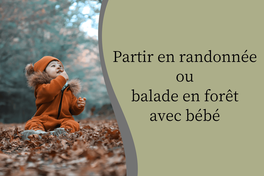 Partir en randonnée ou en balade en forêt avec bébé - Hanagamise